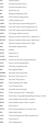Indicators of increased ER stress and UPR in aged D2-mdx and human dystrophic skeletal muscles